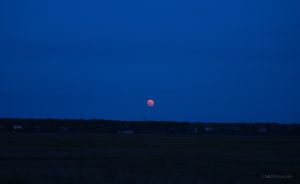 JKW_3132eweb Moonrise on Cape Cod.jpg